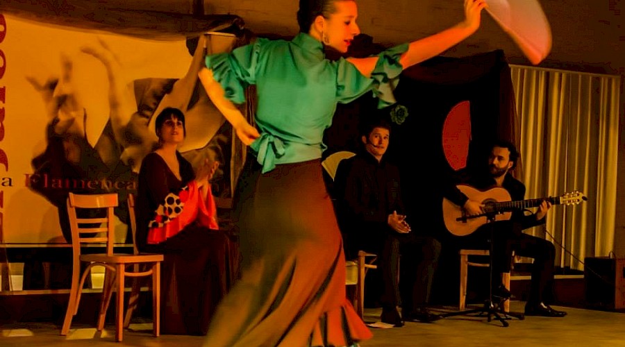 Live flamenco performance with dancer and guitarist