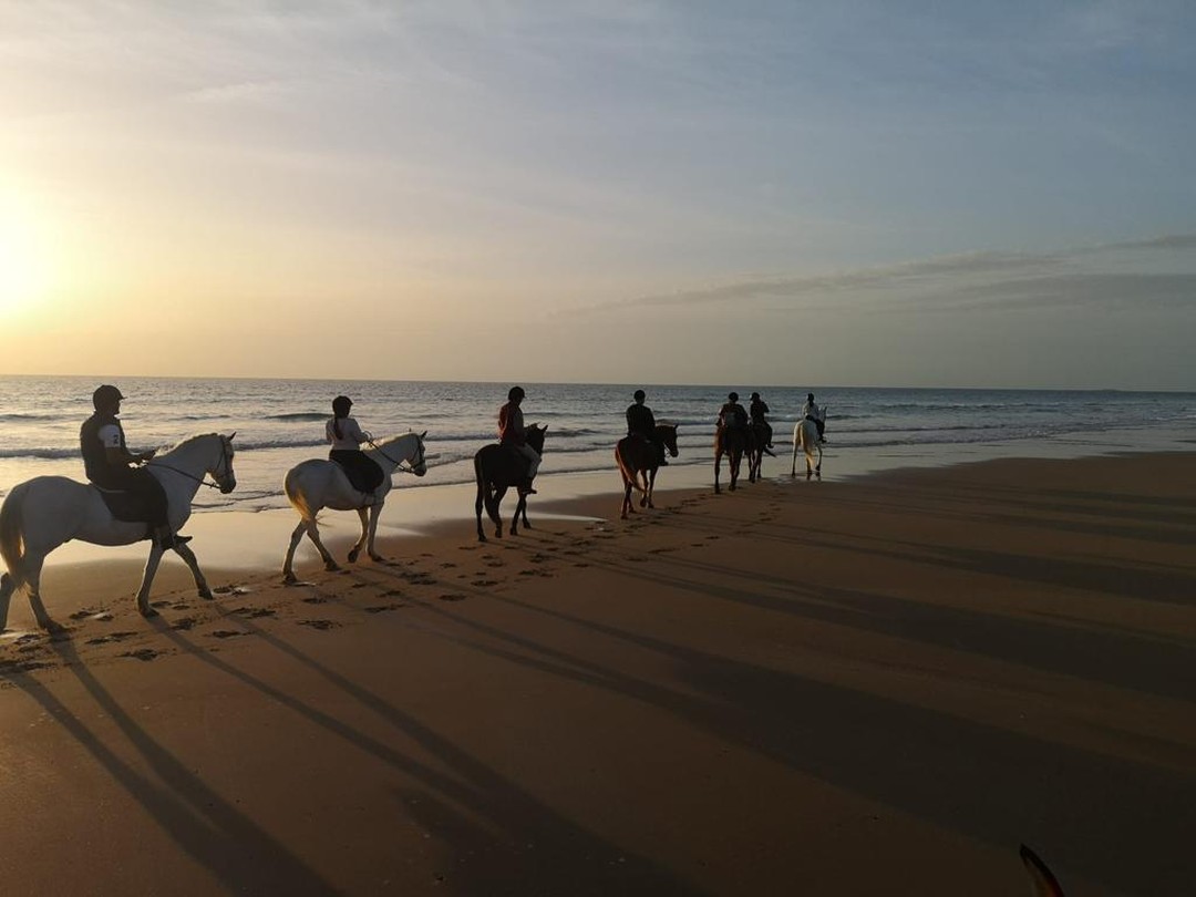 Group horseback riding along the beach at sunset