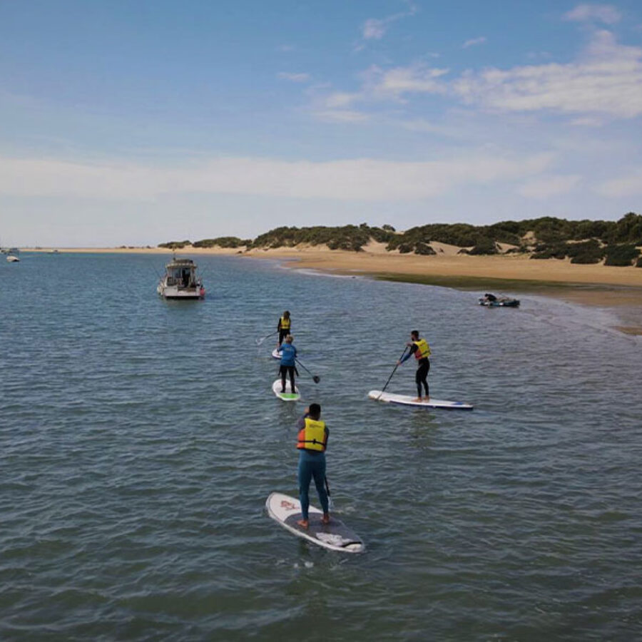 Paddlesurf